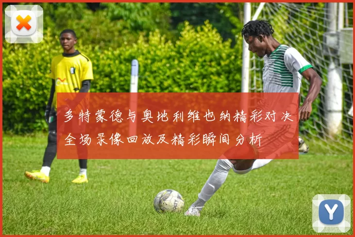 多特蒙德与奥地利维也纳精彩对决全场录像回放及精彩瞬间分析