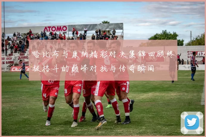 哈比布与康纳精彩对决集锦回顾终极格斗的巅峰对抗与传奇瞬间