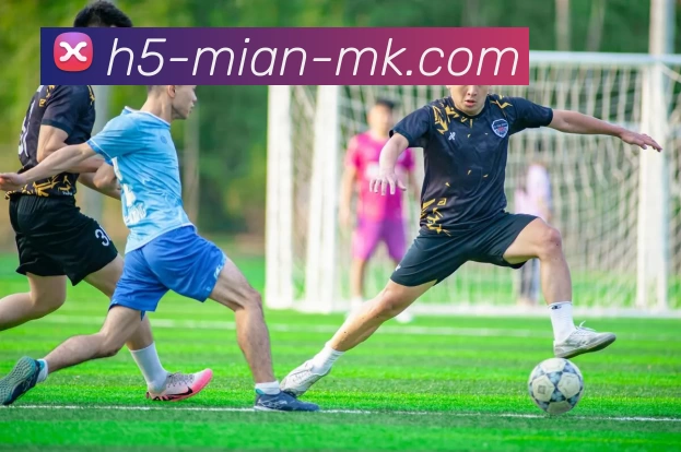 MK体育平台生态图